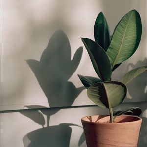 Meet your Posher, Larissa